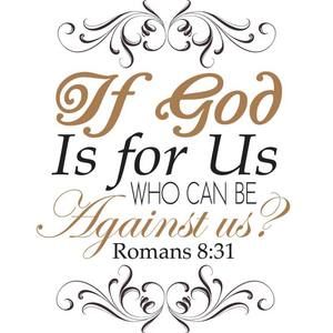 Meet your Posher, Arocho